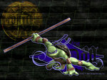 Donatello – Teenage Mutant Ninja Turtles
